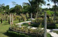 Балийский Сад Орхидей (Bali Orchid Garden)