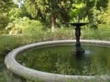 Ботанический сад Монпелье