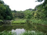 Сад Института изучения природы (Shizen Kyoiku-en)